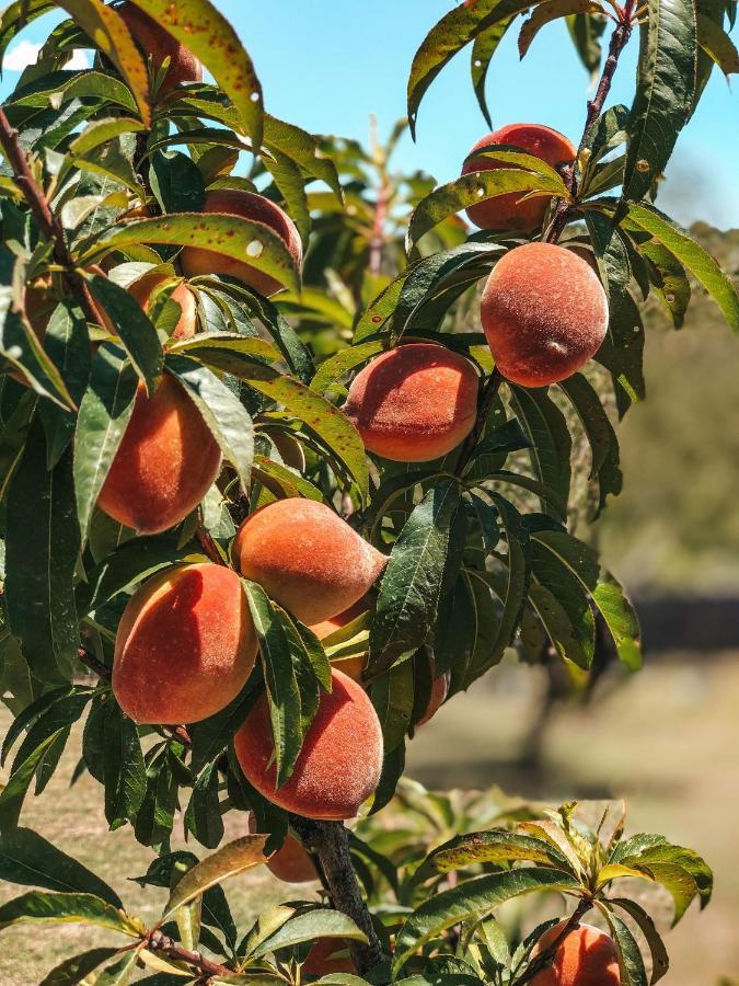 Finca Granero Potrero de Garay Εξωτερικό φωτογραφία